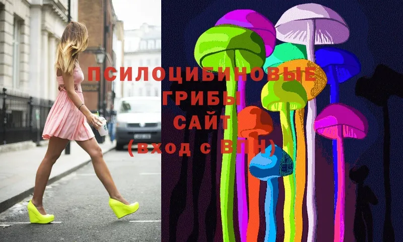 гидра как зайти  Заозёрск  Псилоцибиновые грибы MAGIC MUSHROOMS 